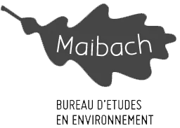 Logo_Maibach_fond_transparent_NB